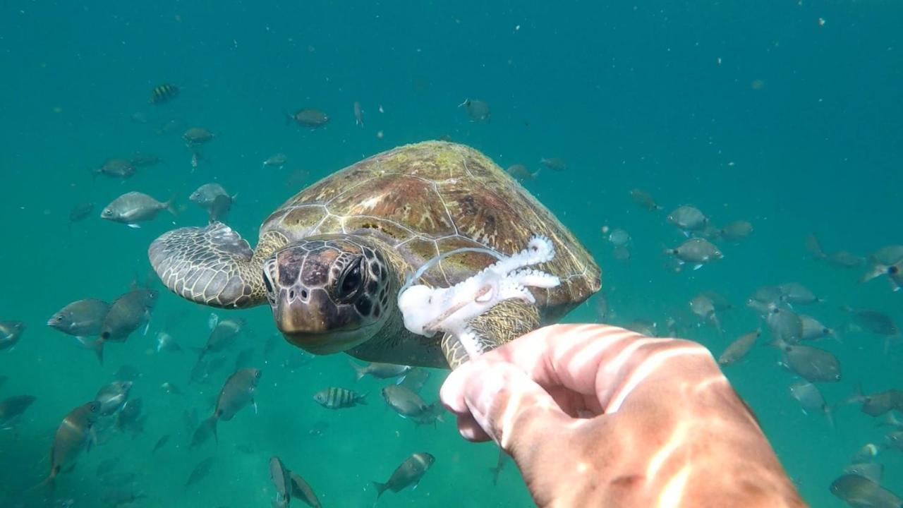 Pousada Conves - Ilha Grande Praia de Araçatiba المظهر الخارجي الصورة